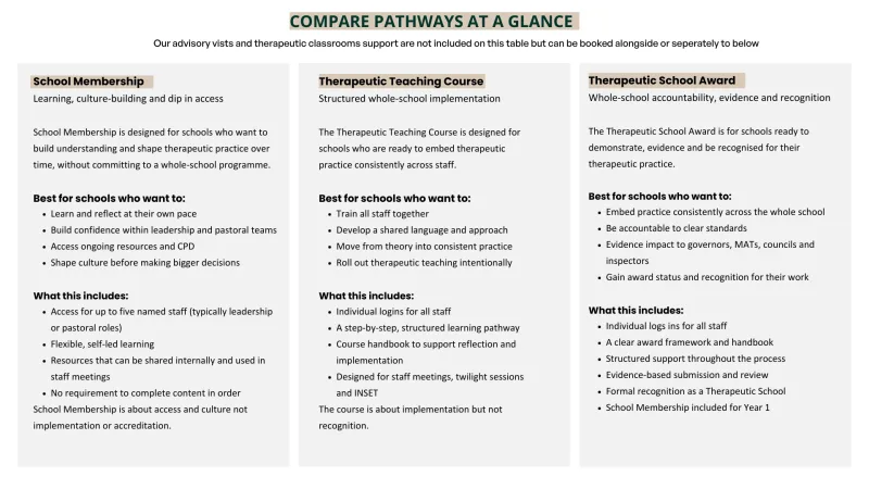 NEW Creating calm comfortable trauma informed spaces for children 4 - Teaching Positive Connections